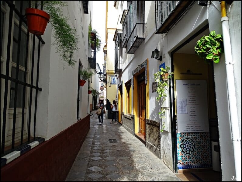 Calle estrecha y florida en el Barrio de Santa Cruz, Sevilla. Turismo en Sevilla.