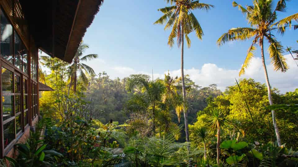 Vista panorámica de Ubud, Bali, ideal para alojarse.