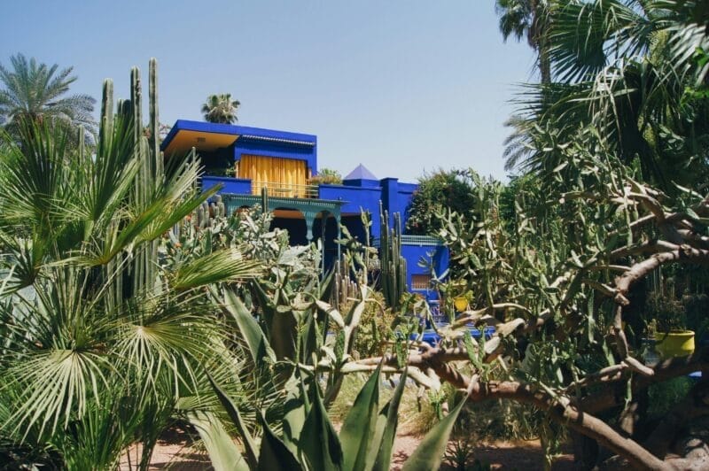 Jardín Majorelle, un oasis de color y calma que ver en Marrakech