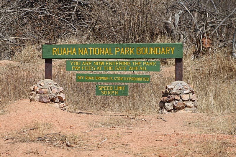 El Parque Nacional de Ruaha, un sitio ideal para la observación de vida silvestre en Tanzania.