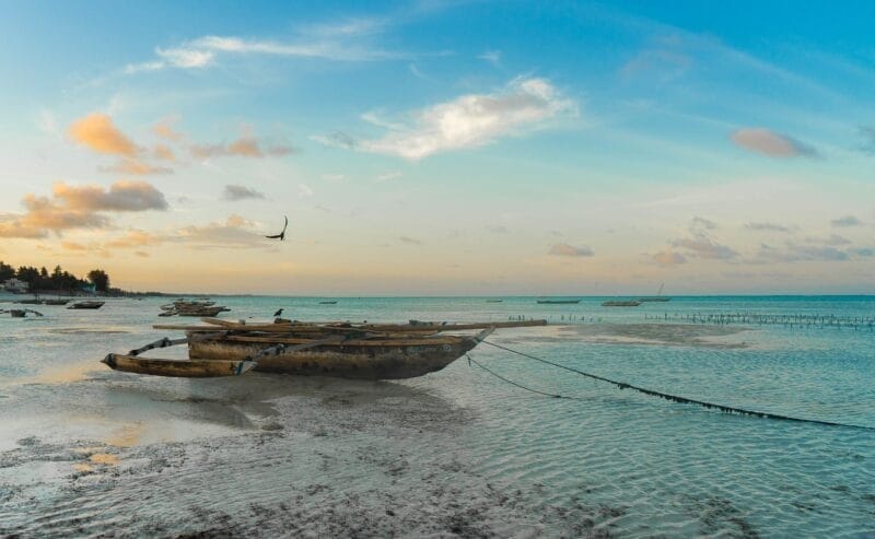 Playas paradisíacas de Zanzíbar, uno de los destinos que ver en Tanzania.