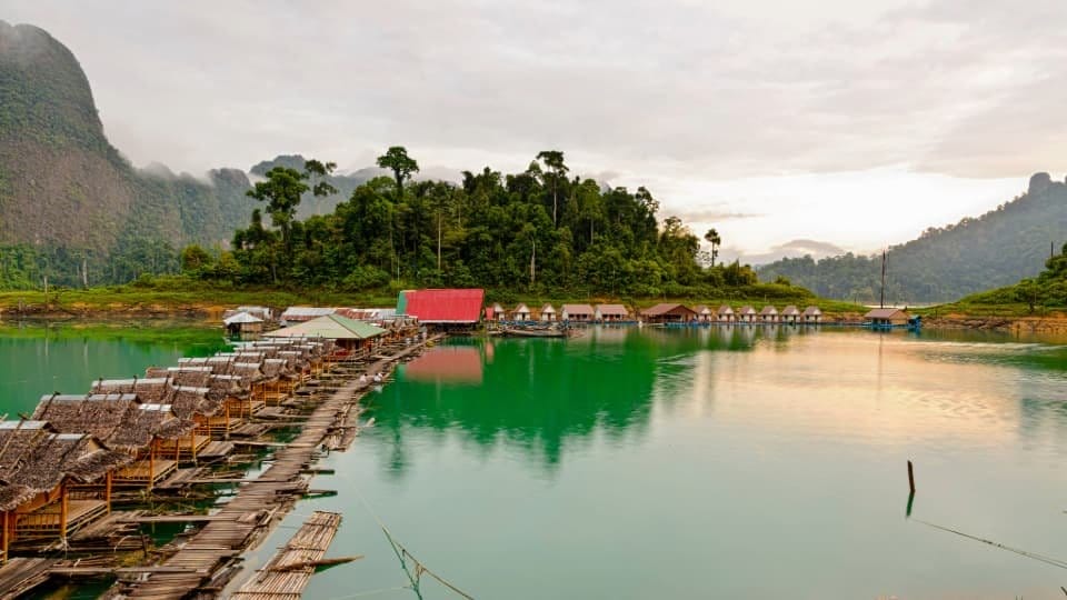 Qué ver en la isla de Borneo, Indonesia: selva tropical y vida salvaje, como los orangutanes.