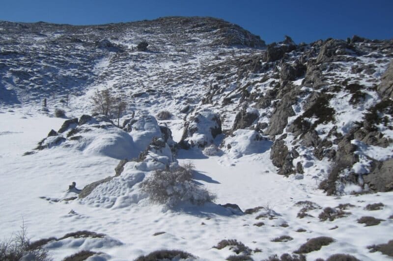 Sierra de las Nieves - Parque Natural de Málaga