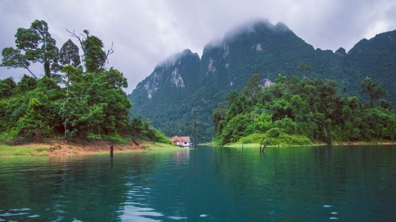 Paisaje del Parque Nacional Khao Sok, una maravilla natural que ver en Tailandia.